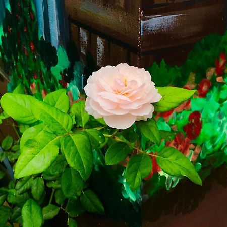 Gia Hung Motel Vung Tau Zewnętrze zdjęcie